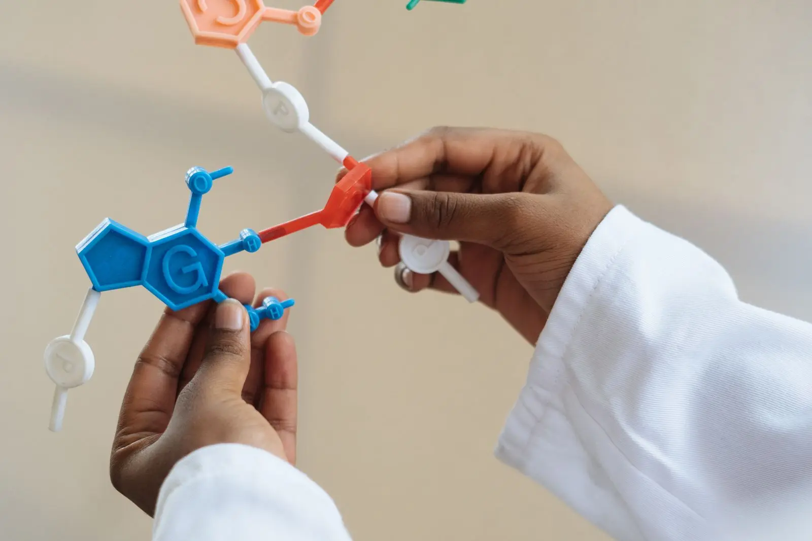 Hands holding a colourful molecular model of DNA base pairs in a laboratory setting.
