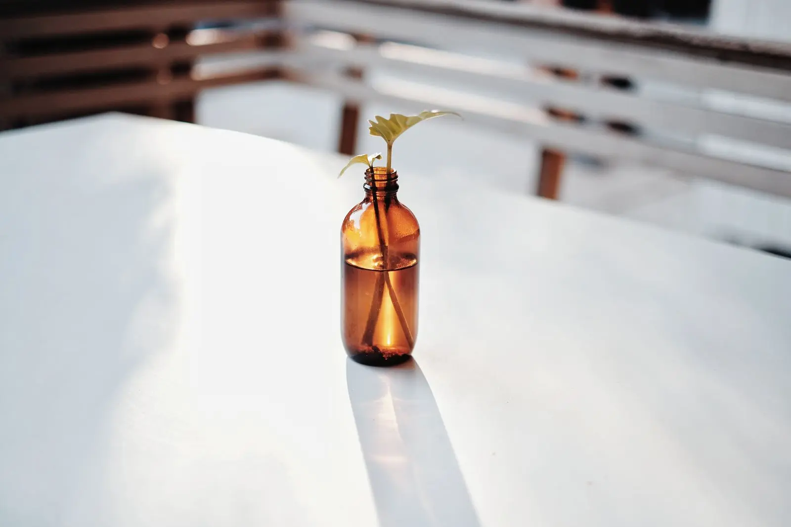Several small amber glass bottles with black caps standing in a loose row.